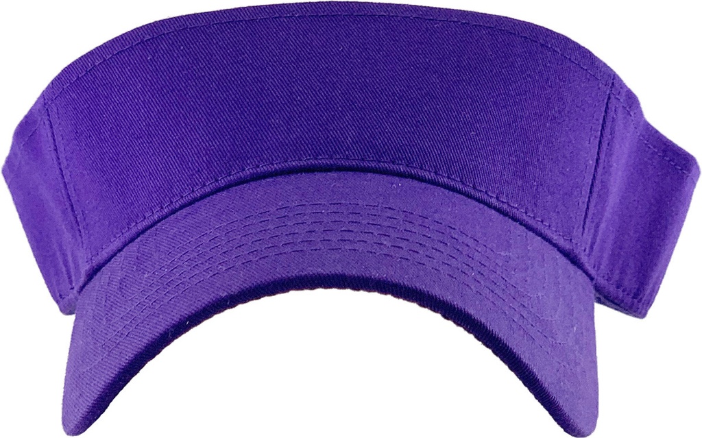 SUN VISOR